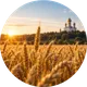 Страна: Россия